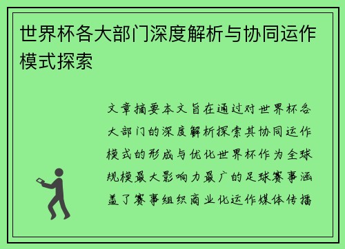 世界杯各大部门深度解析与协同运作模式探索